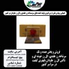 فروش باکس گل رز جاودان در سراسر کشور