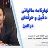 تنظیم اظهارنامه مالیاتی به صورت دقیق و حرفه‌ای