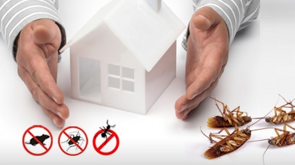 سمپاشی حشرات تضمینی مجوز رسمی بدون شستشو و ترک محل
