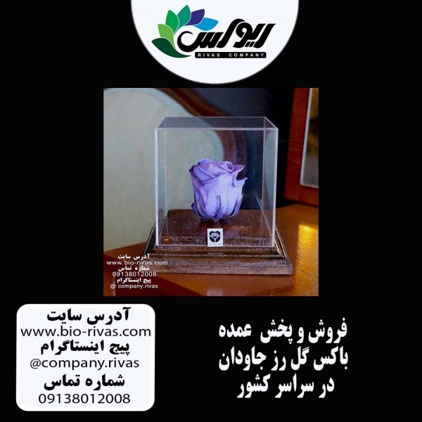 باکس گل رز جاودان فروش فوق العاده در تبریز