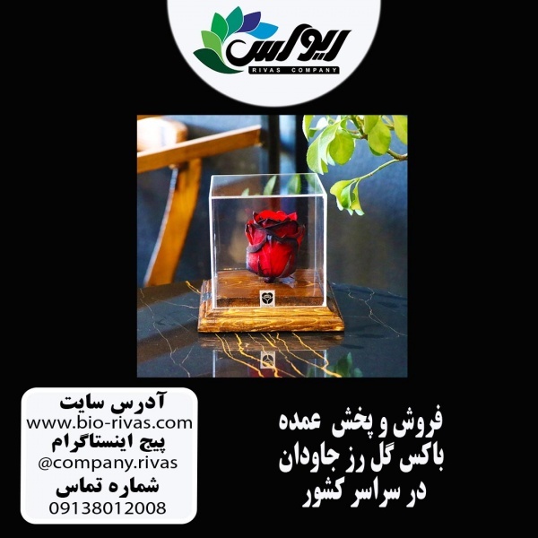 باکس گل رز جاودان فروش ویژه در خوزستان