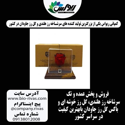 فروش باکس گل رز جاودان در سراسر کشور