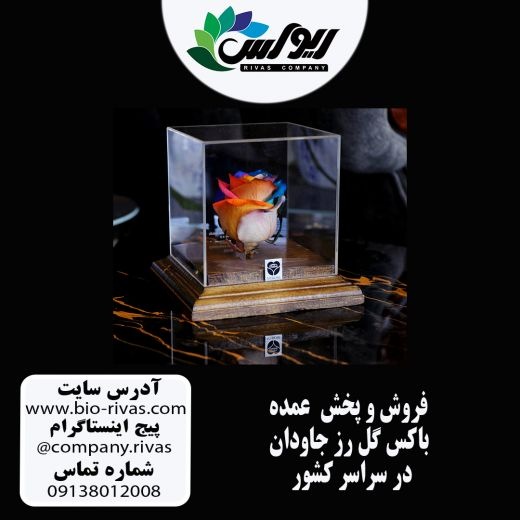 فروش عمده باکس گل رز جاودان در اصفهان