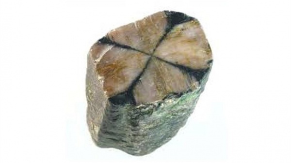 انواع کاشی و آجر ضد اسید