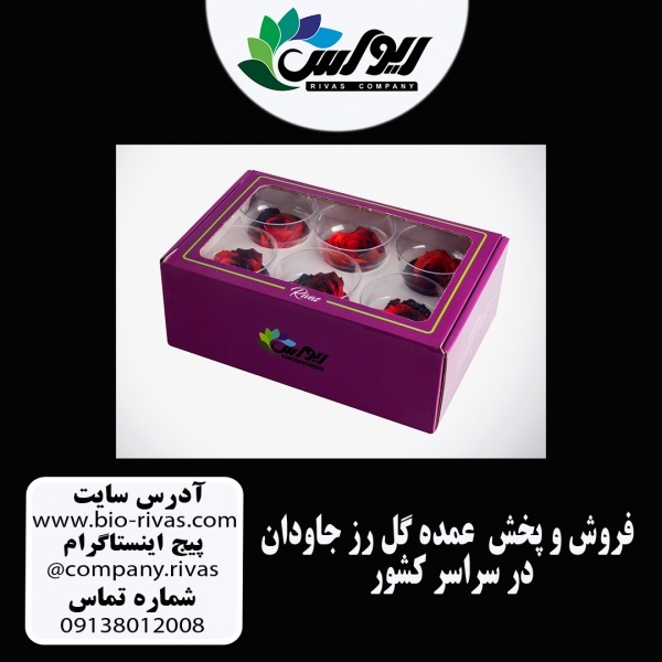 باکس گل رز جاودان در طرح ها و رنگ های مختلف