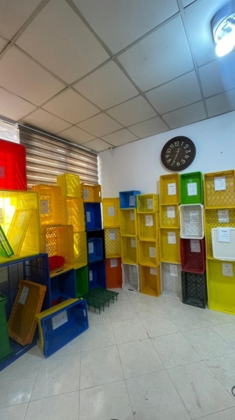 خانم مومنی