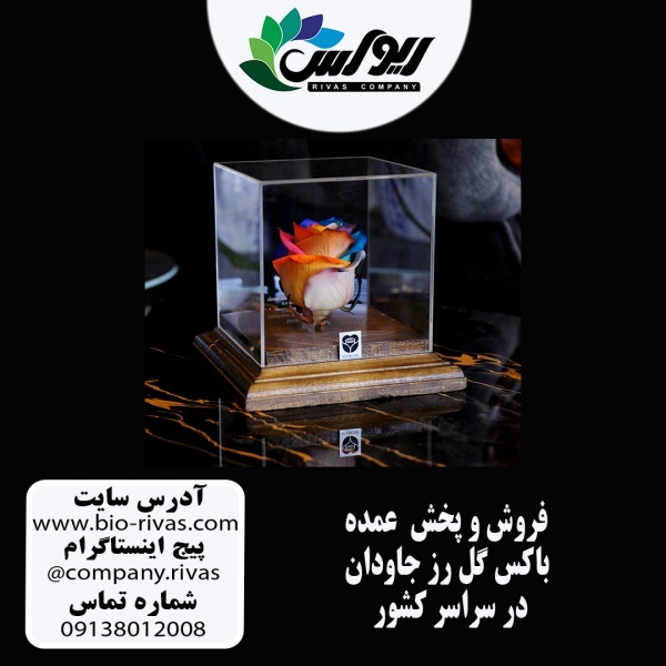 باکس گل رز جاودان با بهترین قمیت در تهران