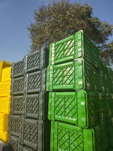 سبد کشتارگاهی حمل مرغ و ماهی