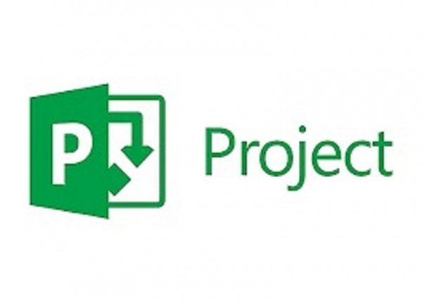 Microsoft Project Professional - مایکروسافت پروجکت