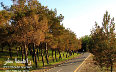 پارک جنگلی شیان لویزان