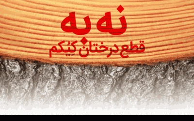 کمپین جلوگیری از قطع درختان کیکم