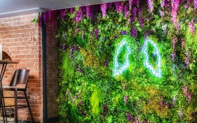 دیوار سبز مصنوعی چیست ؟